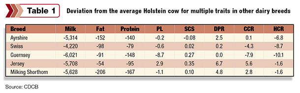 Holstein cow deviation